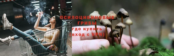 молекула духа Балахна