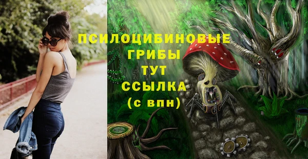 молекула духа Балахна