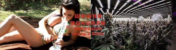 стаф Балабаново