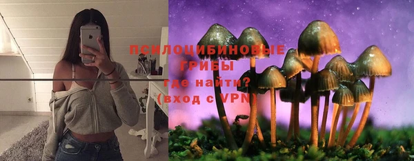 шишки Пестово
